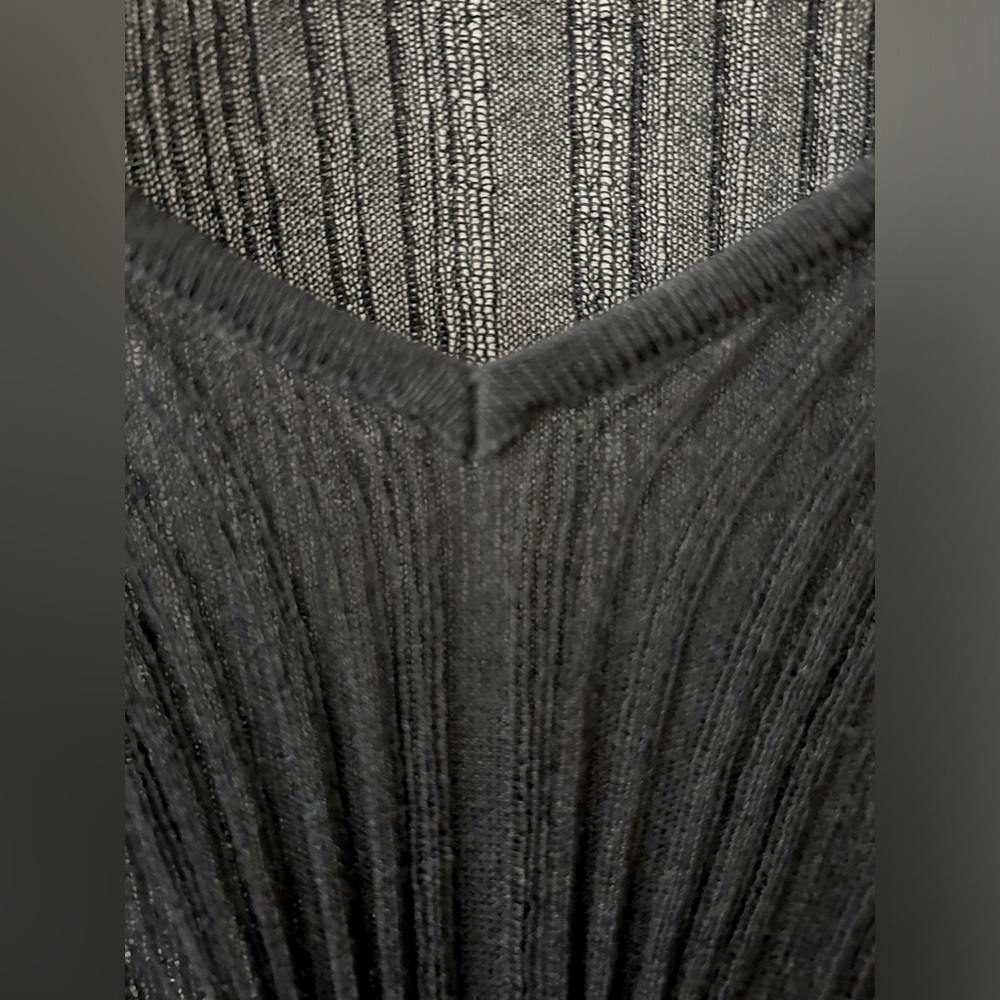 Lida Baday sheer black v-neck top - Picture 3 of 4